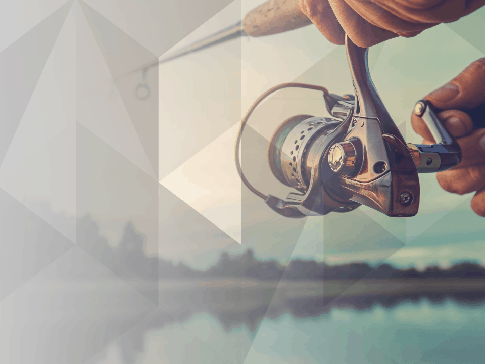 Cast Your Net Wide: Pro Tips to Create More Top Tier Partners